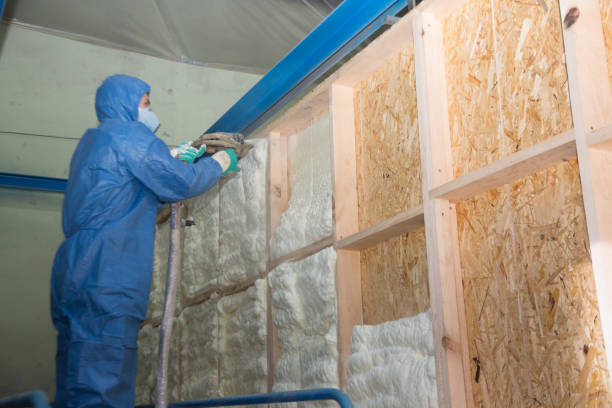 Best Spray Foam Insulation  in Cedar Knolls, NJ